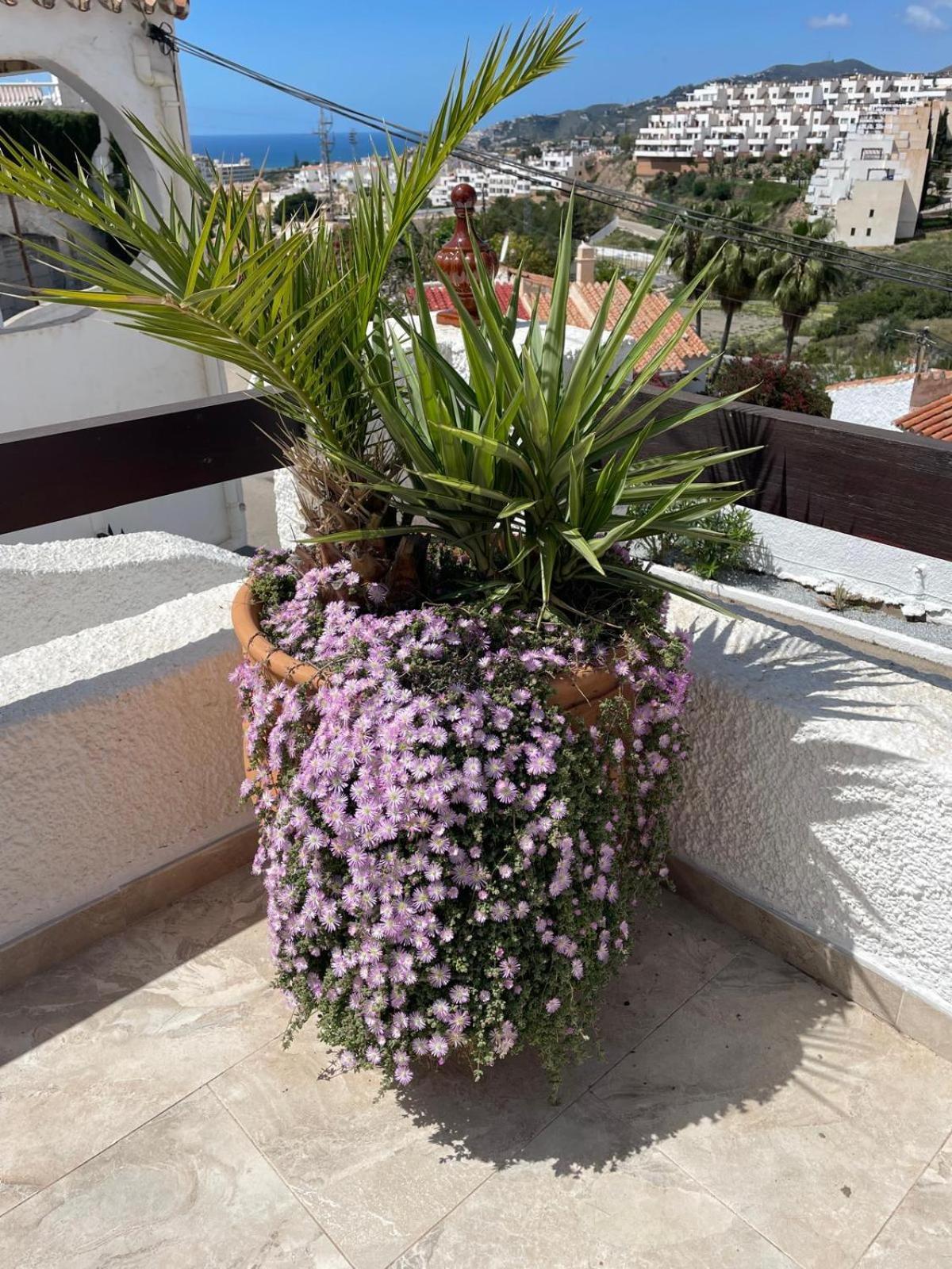 Vakantiehuis Naricha 1 Menyber