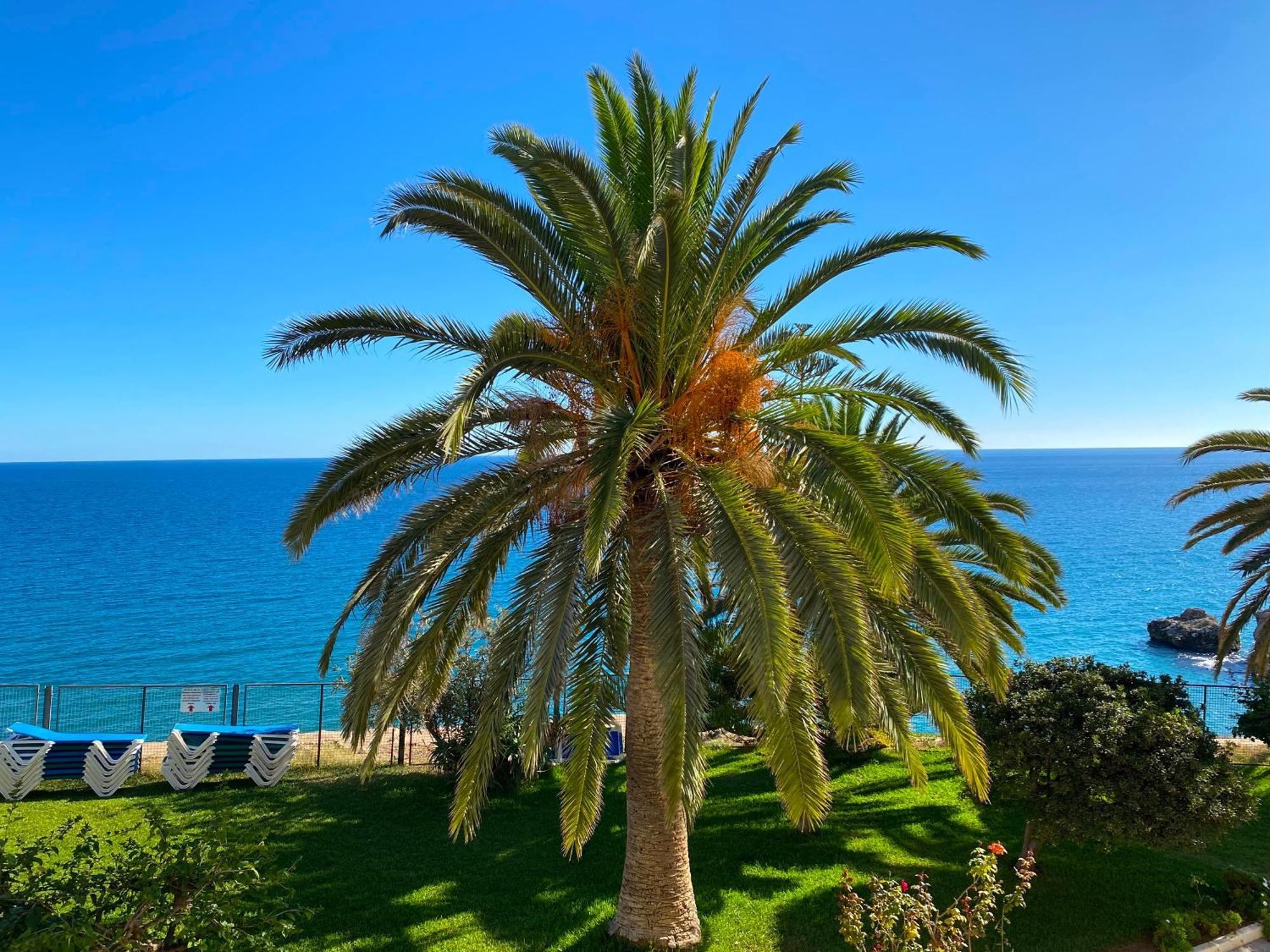 Tuhillo E1 Seaview Casasol Apartamento *