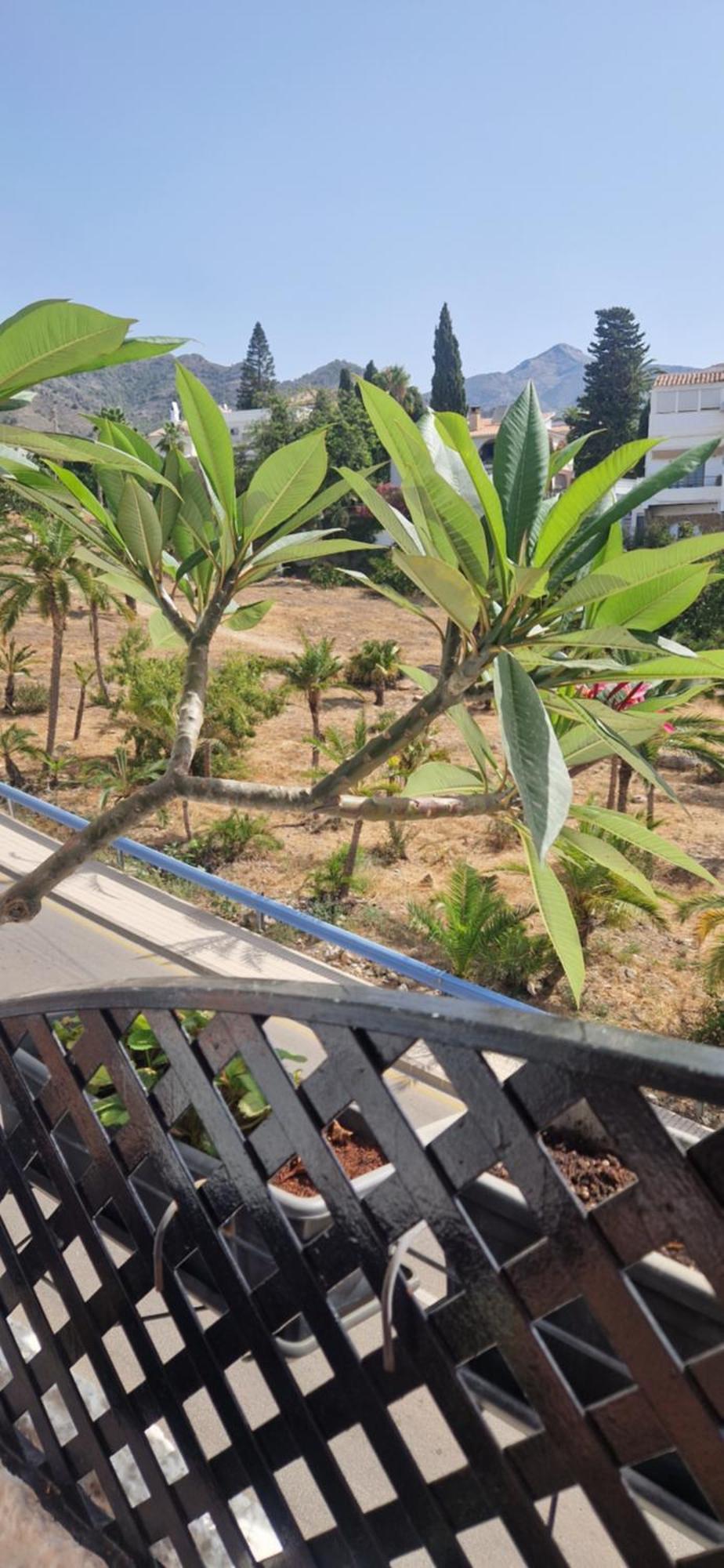 Apartamento Verano Azul 36