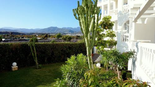 Apartment Starnerja En Stella Maris