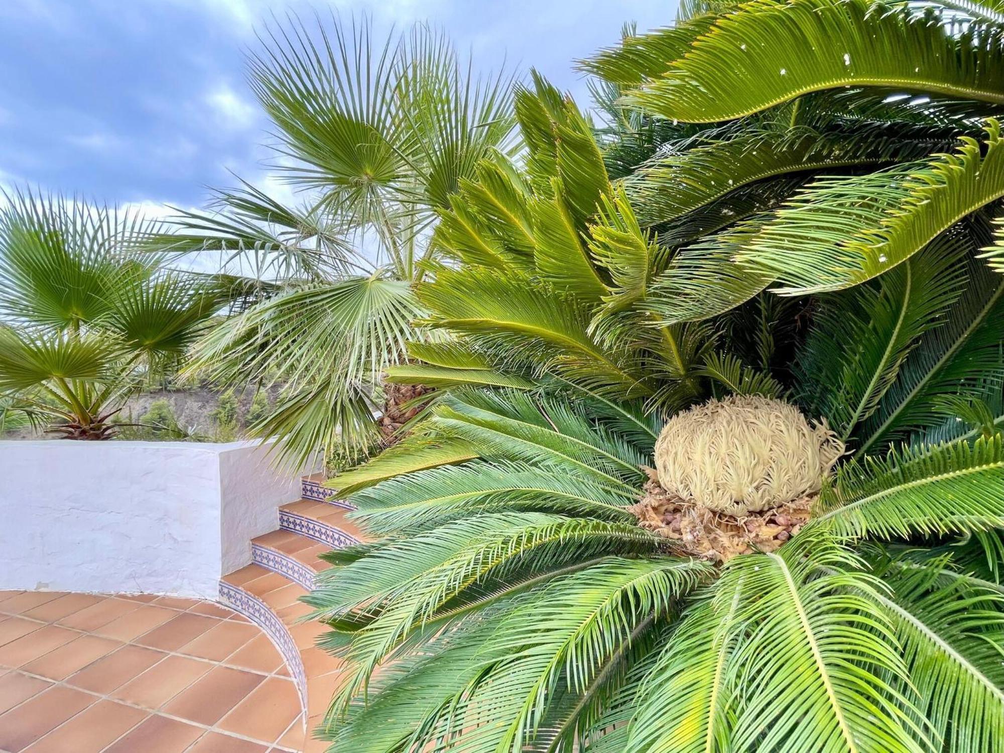 Сasa de vacaciones Belvilla By Oyo Casa Mirador *