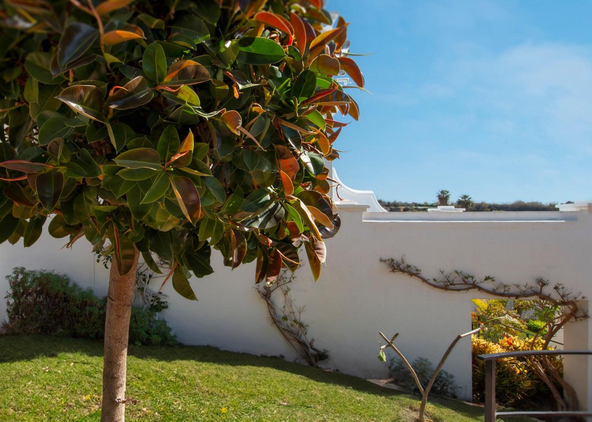 Oasis De Capistrano 23 Nerja