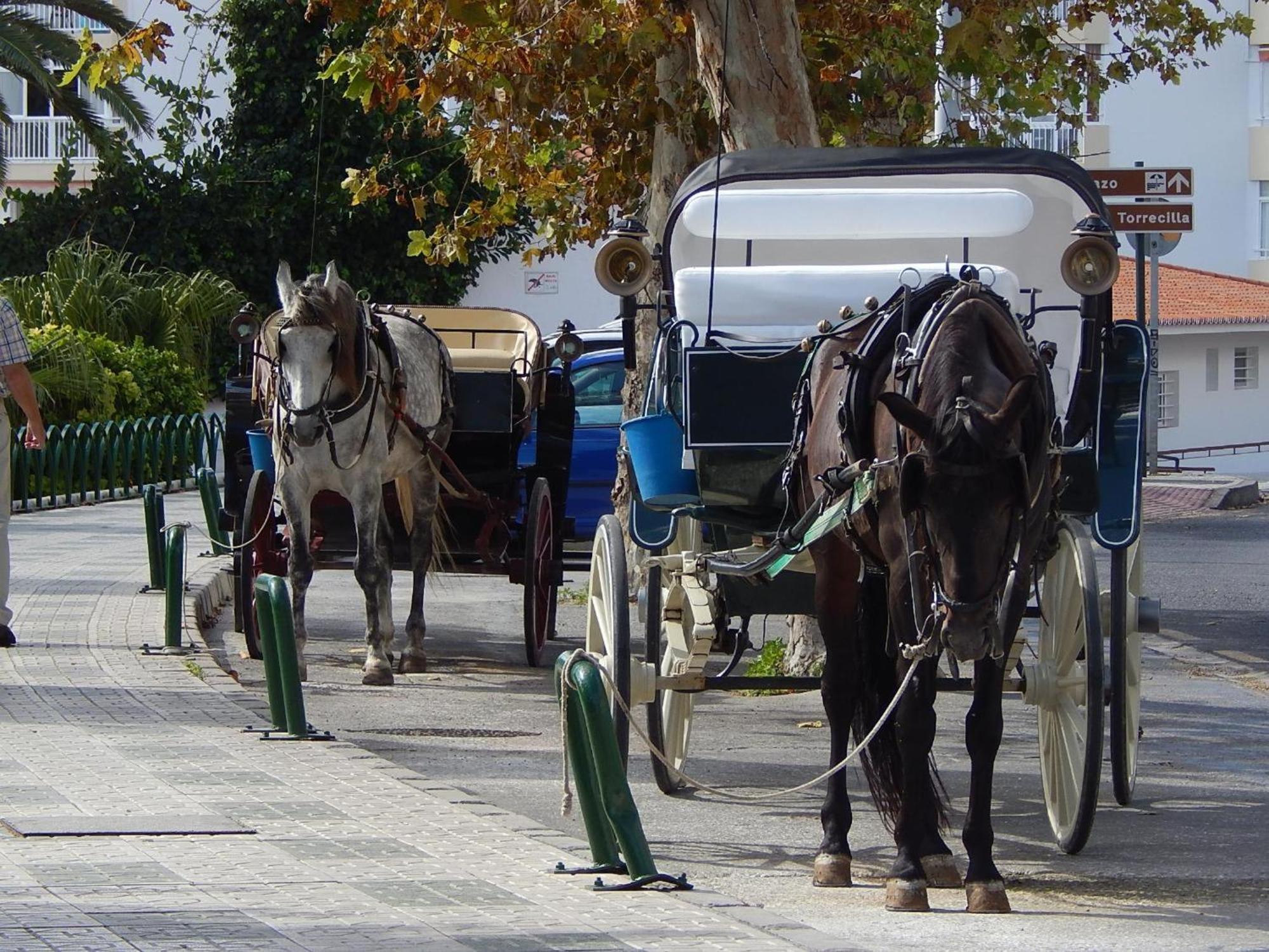 Albaida 2 5j Nerja