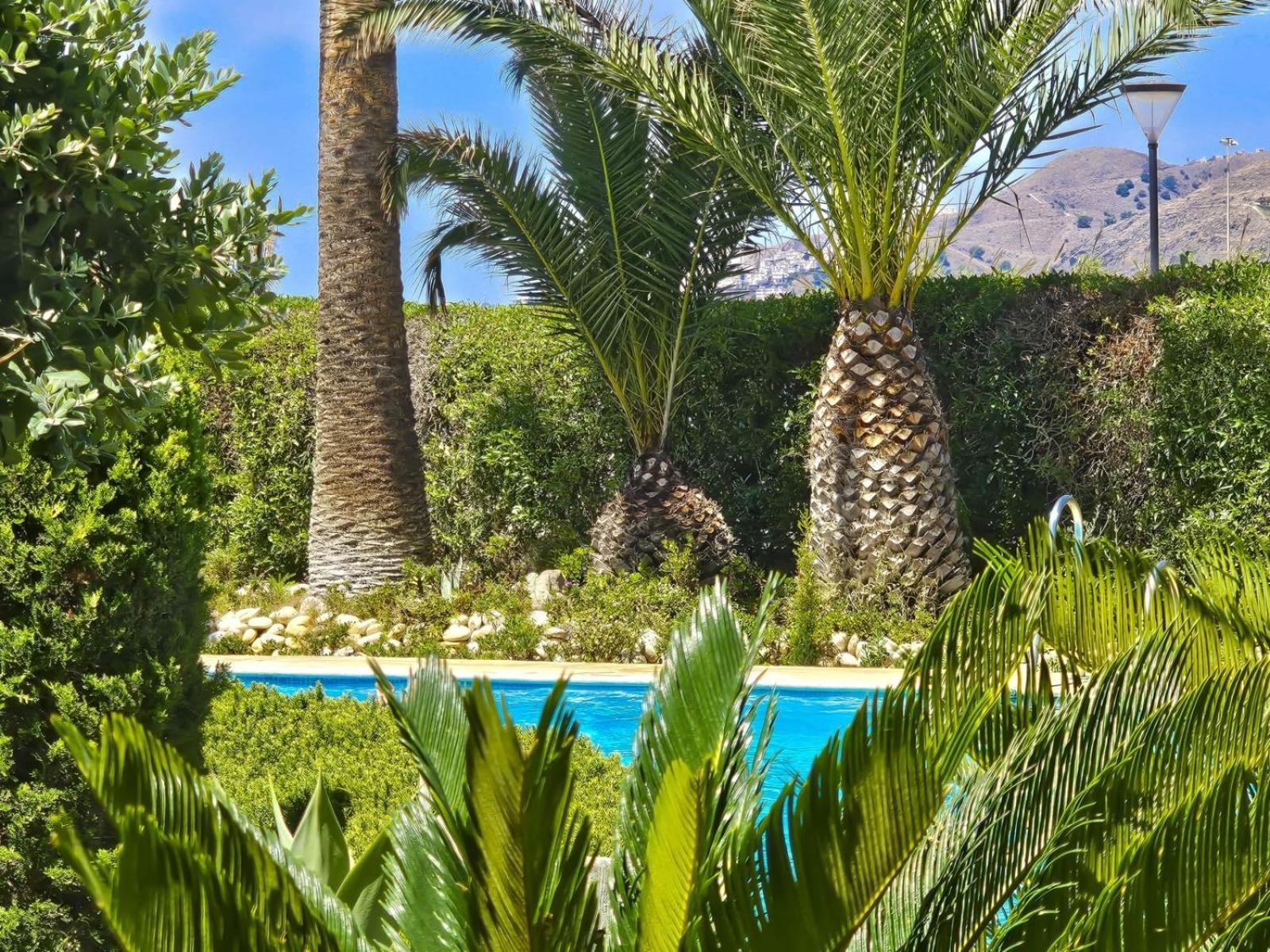 Stella Marris Bloque 1 Nerja