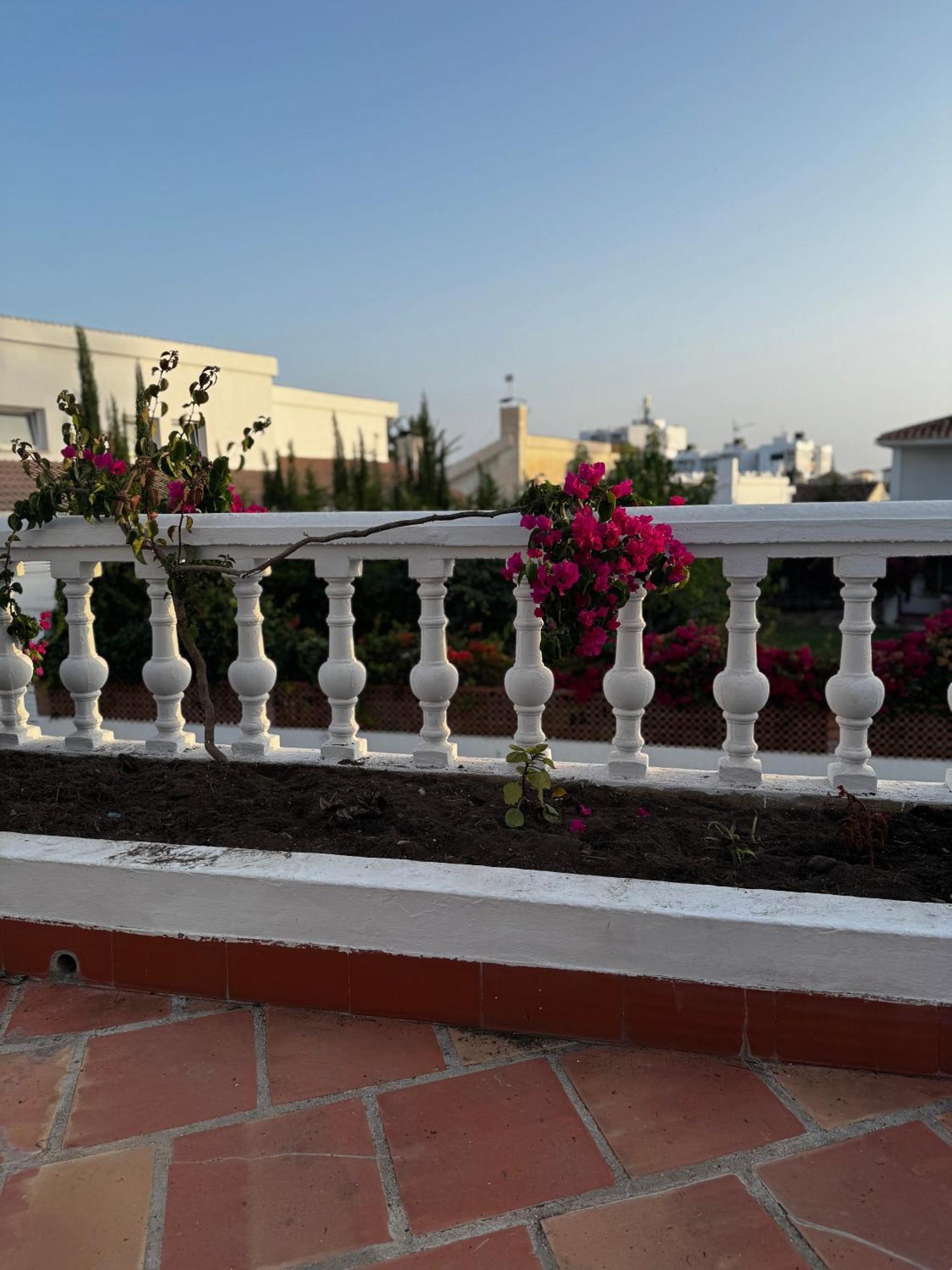 Bajamar 24 Nerja