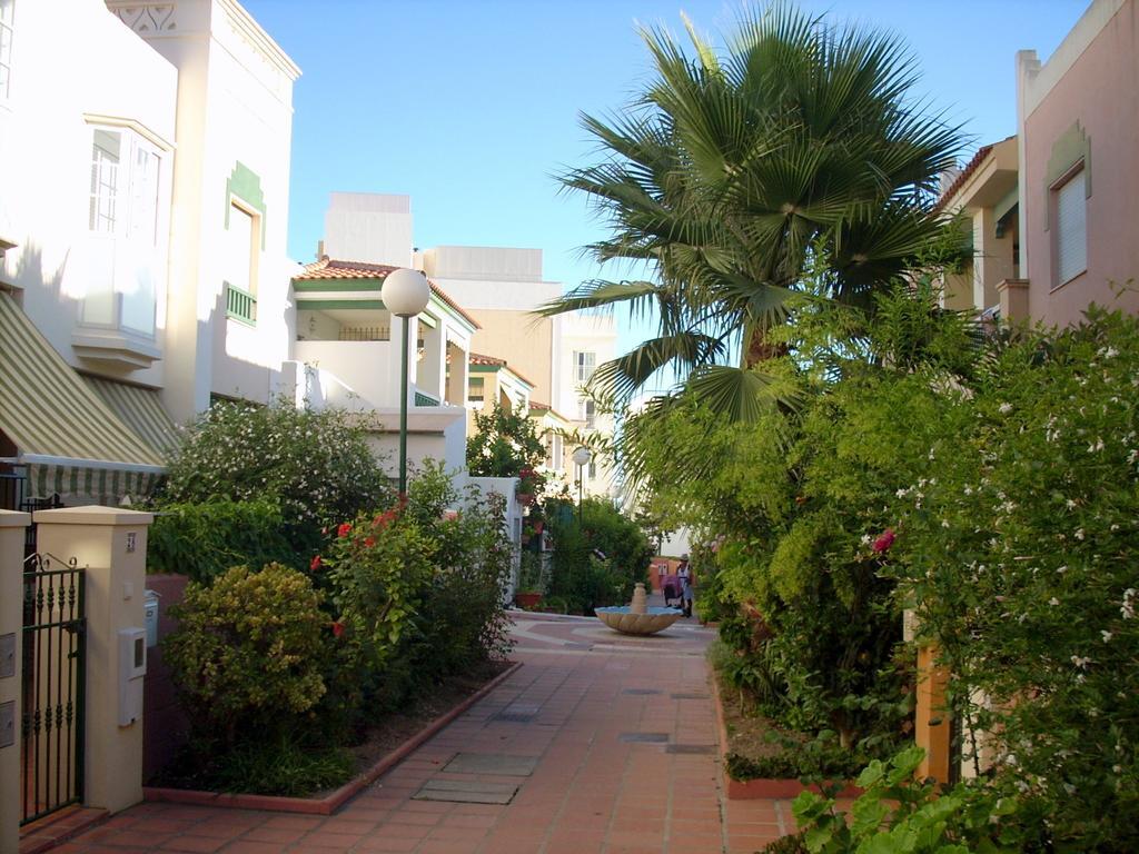 Starnerja Ii