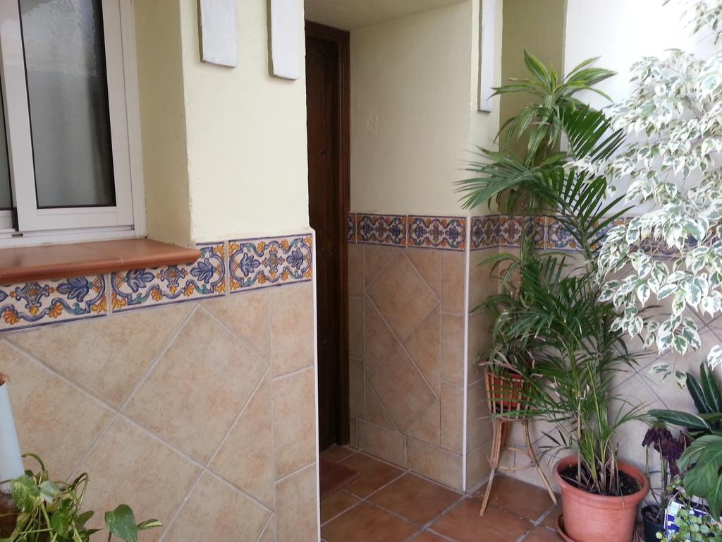 Apartment Costanerja *