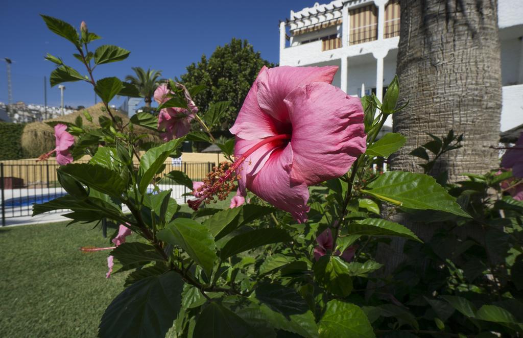Turisticos Rio Marinas * Nerja