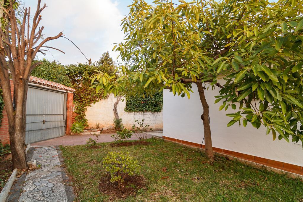 Francisca Casasol Apartamento