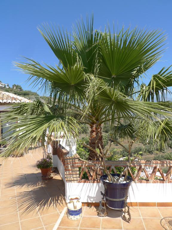 Balcon De Punta Lara Nerja