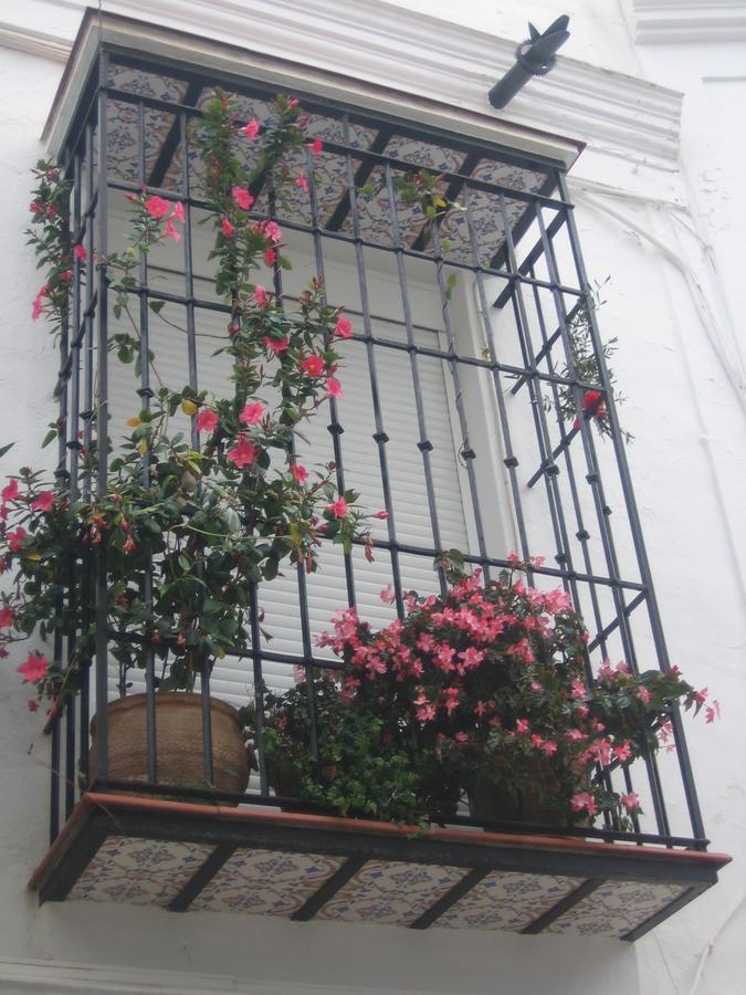 Apartment Carabeo 2000 3.1