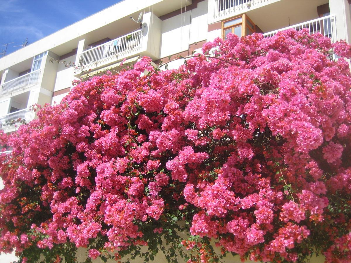 Apartment Carabeo 2000 3.1 Nerja