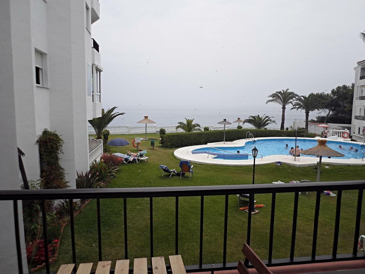 Palmeras 55 Menyber