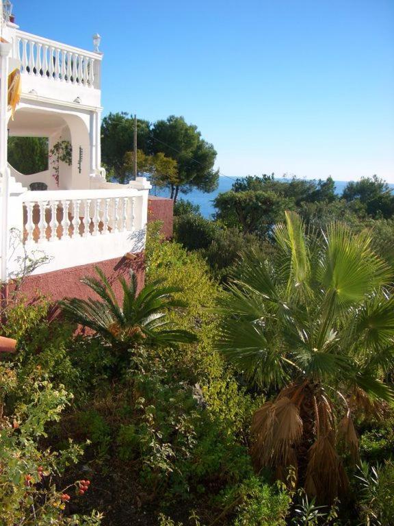 Casa Patricia, Ladera Del Mar, Appartement