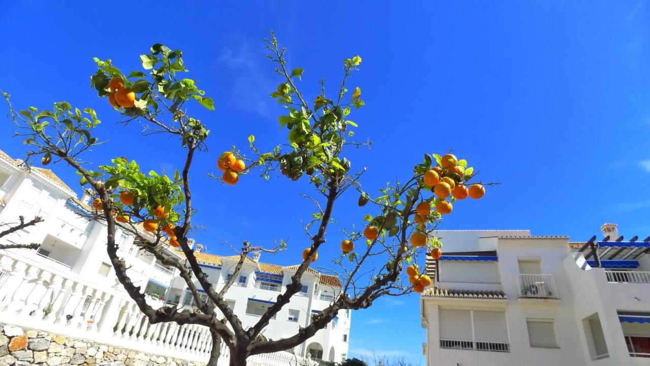 R1320 - Las Fuentes Nerja