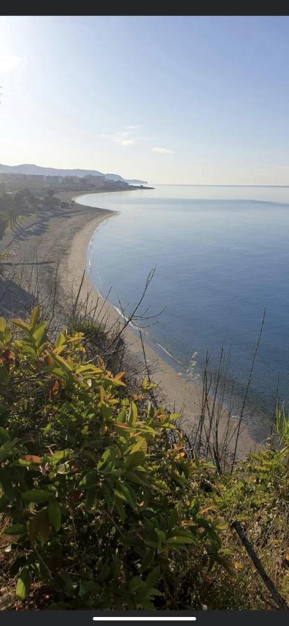El Olivar De Punta Lara *