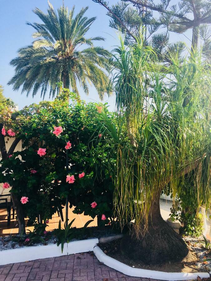 El Cortijo De Miguel * Nerja