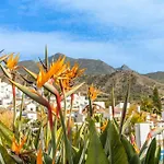 Las Palmas 15C Oasis Properties