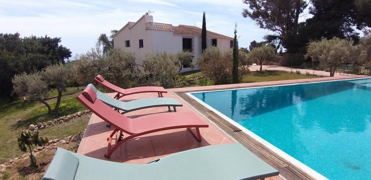 Cortijo Artist Paradise *