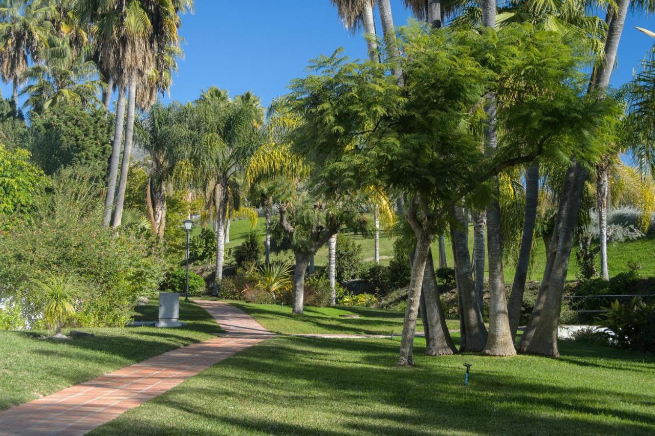 Palmas 15c Oasis Nerja