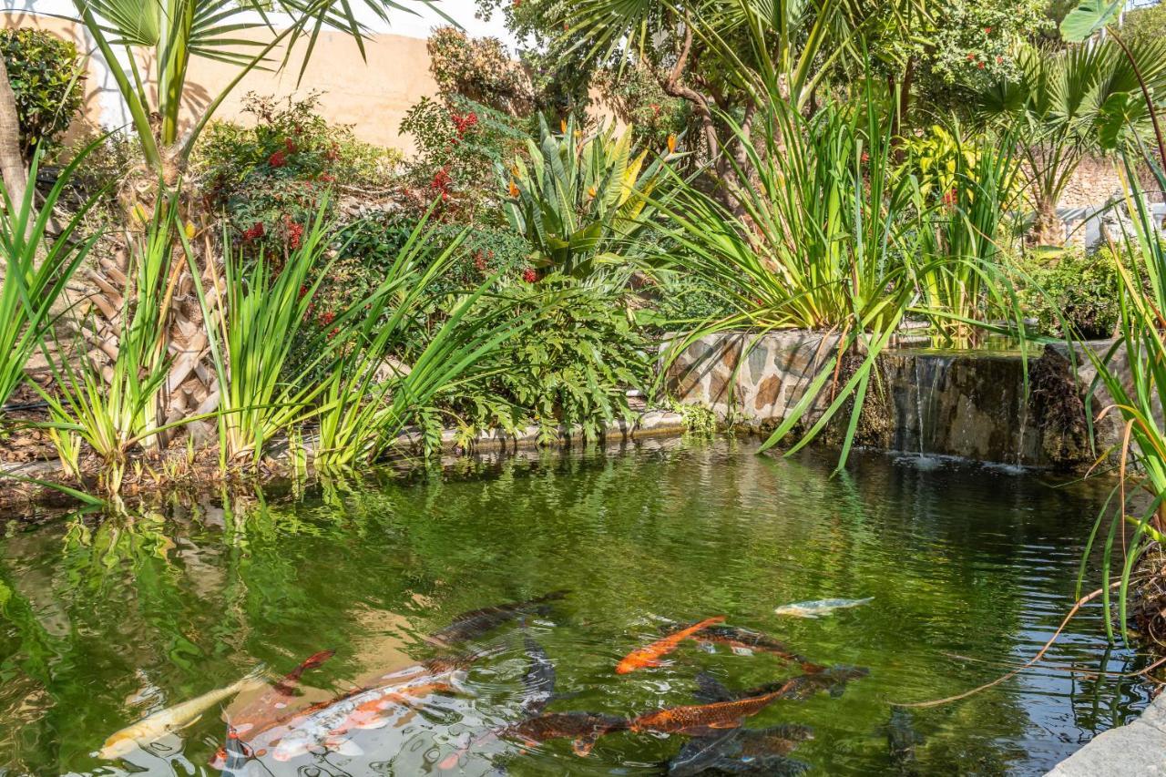Palmas 15c Oasis Nerja