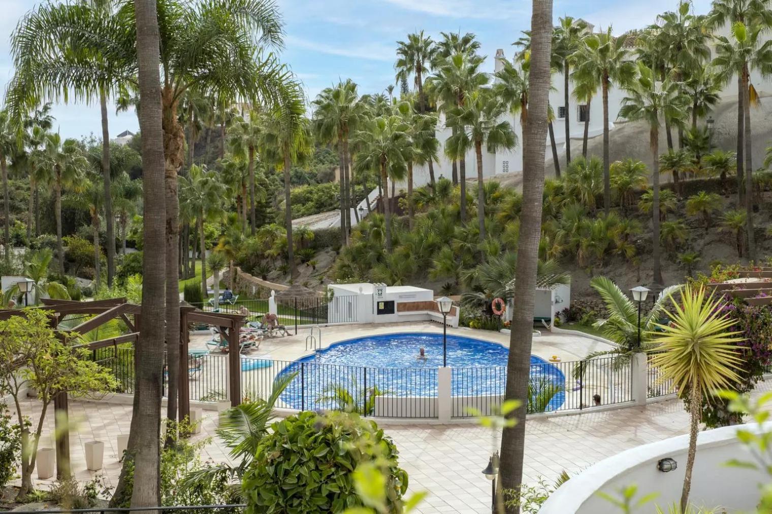 Palmas 15c Oasis