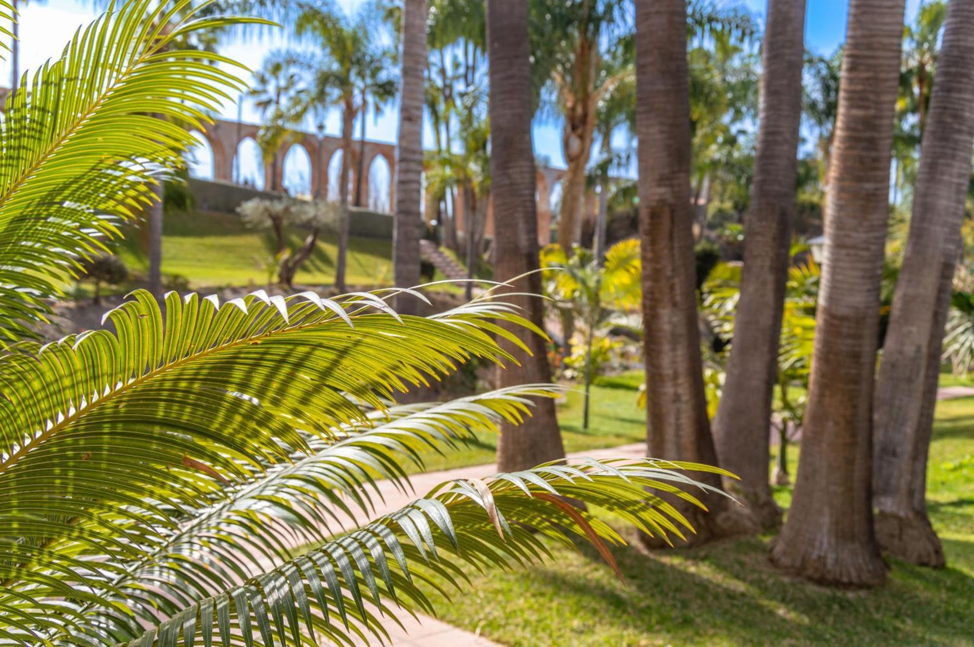 Palmas 8b Oasis Apartamento Nerja