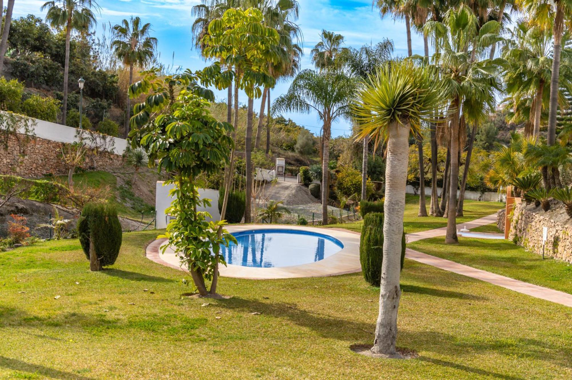 Palmas 15c Oasis *