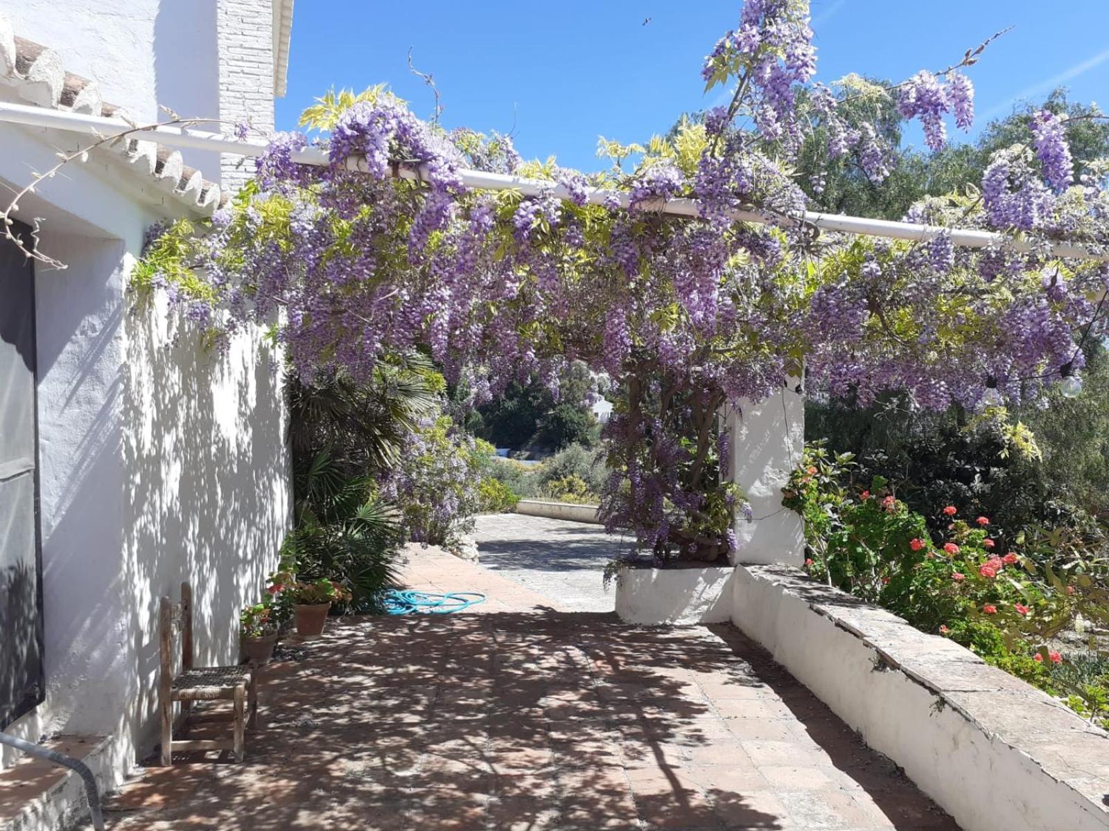 Cortijo Artist Paradise Holiday home