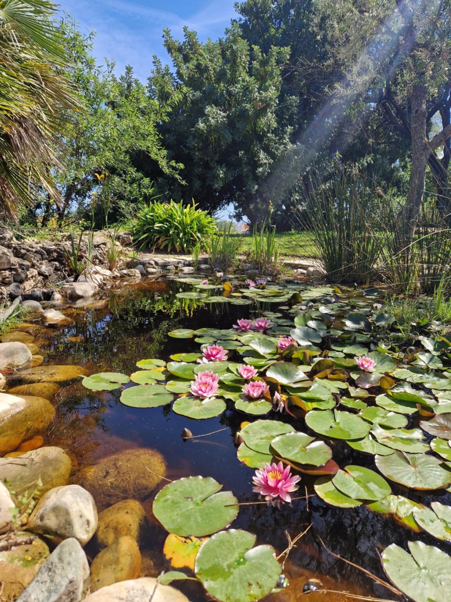 Cortijo Artist Paradise Holiday home *