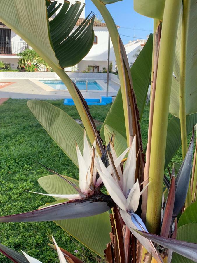 Holiday home Casa Maria Nerja