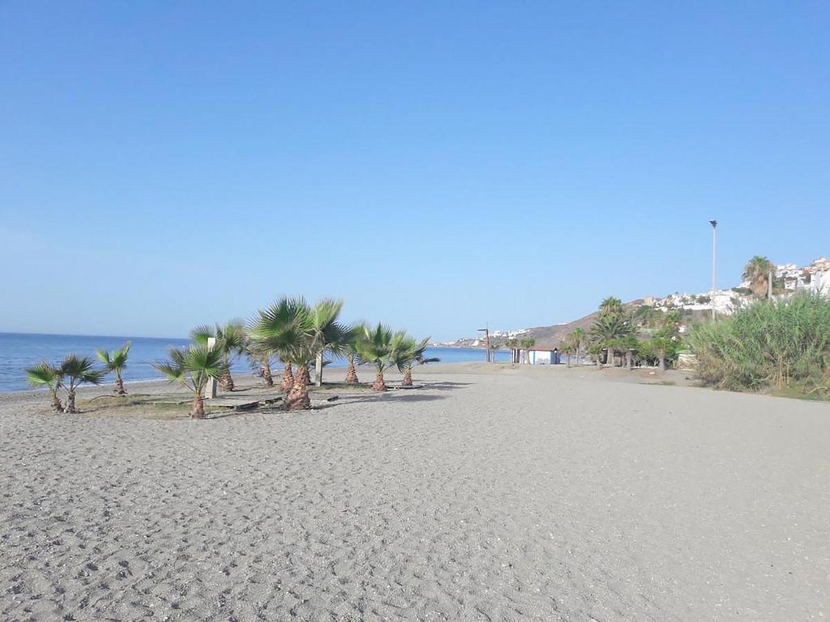 Marina Playa Apartment